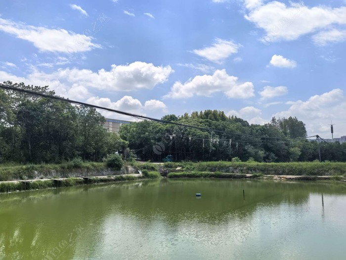 庐陵香野草莓园兄弟钓场