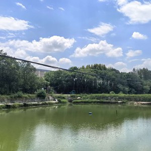 庐陵香野草莓园兄弟钓场天气预报