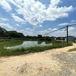 庐陵香野草莓园兄弟钓场