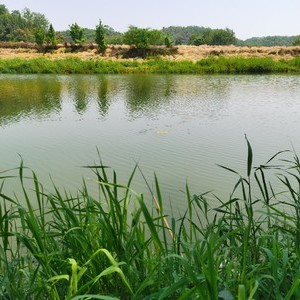 斜江河