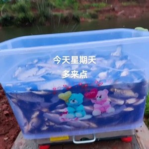 凤凰湖大水沟水库