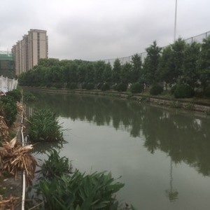 浦家浜河