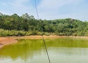 湘徽生态垂钓基地天气预报