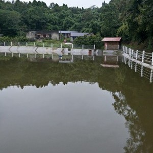 农夫钓场