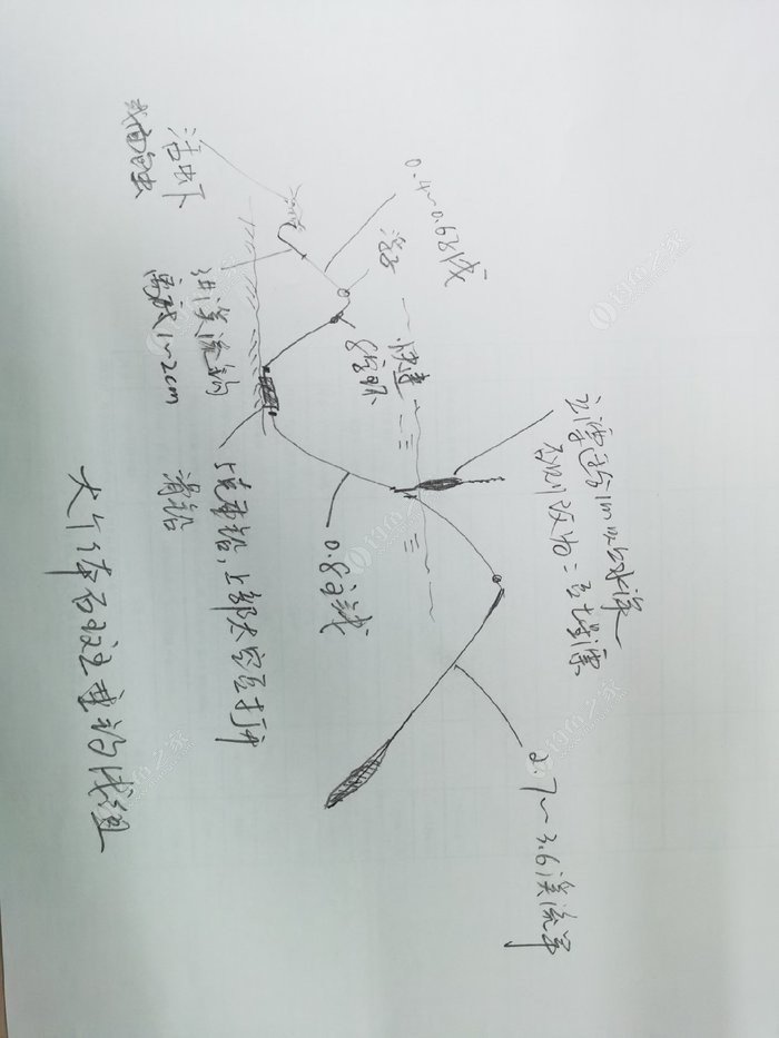 活虾钓石斑鱼钓组图解图片