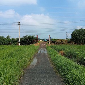 大钱天气预报