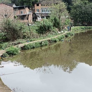 沙西特色鱼垂钓基地