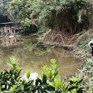 沙西特色鱼垂钓基地