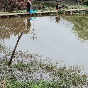 沙西特色鱼垂钓基地