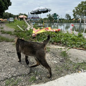 乐逍遥钓鱼场天气预报