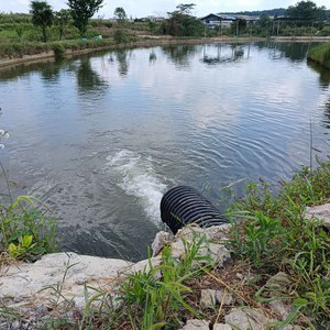 扎佐镇天生桥小王娱乐钓场天气预报