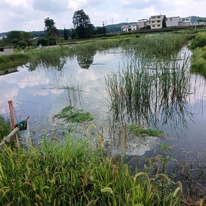 扎佐镇天生桥小王娱乐钓场