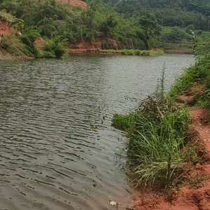 凤凰湖大水沟水库