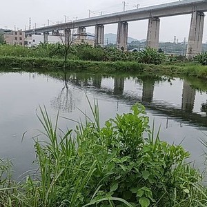 半日闲青草钓场天气预报