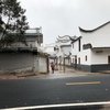 野钓大宗师