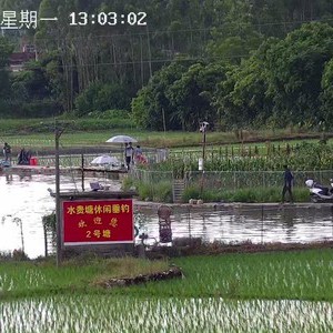 水贵塘钓场