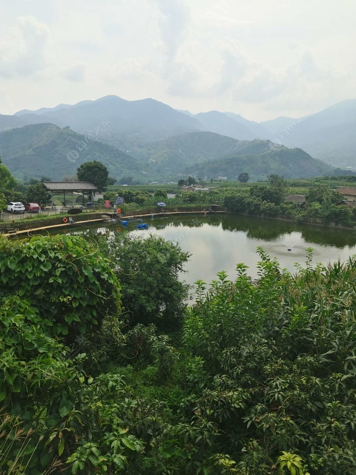 乡坝头钓场