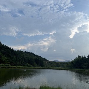 邵武草荷塘钓鱼场