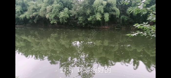 西澧泉河
