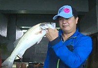 《路亚钓鱼视频》吕泗渔场码头下的海鲈鱼