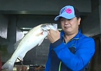 《路亞釣魚視頻》呂泗漁場碼頭下的海鱸魚