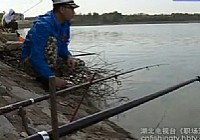 《職場漁樂圈》王桂龍湖庫秋釣草魚