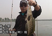 《路亞釣魚視頻》2014第三集 早春釣法