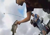 《钓鱼视频》国外全明星游钓鲈鱼