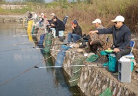 老年钓鱼爱好者垂钓黑坑收费鱼池塘的三个技巧