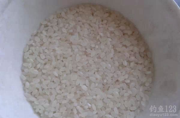 自制玉米糁小米大米混合型鲫鱼鲤鱼窝料