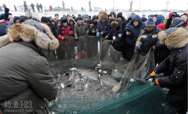 哈尔滨冬捕冰钓旅游节开铲车捞万斤鱼获