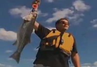 《钓鱼视频》国外全明星田纳西垂钓条纹鲈鱼