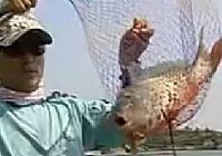 《鄧剛釣魚視頻》 第04集 春天在水庫釣魚技巧