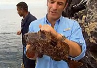 《極限釣魚》第四季 第1集 英國阿森松島