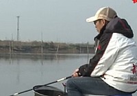 天元徐银舟在古河道钓鳊鱼视频