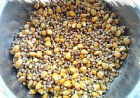 玉米粒麦粒混合甜酒曲发酵窝料诱饵的制作方法