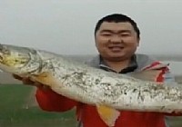 《游钓中国》第05集 钓鲤频上罗非鱼